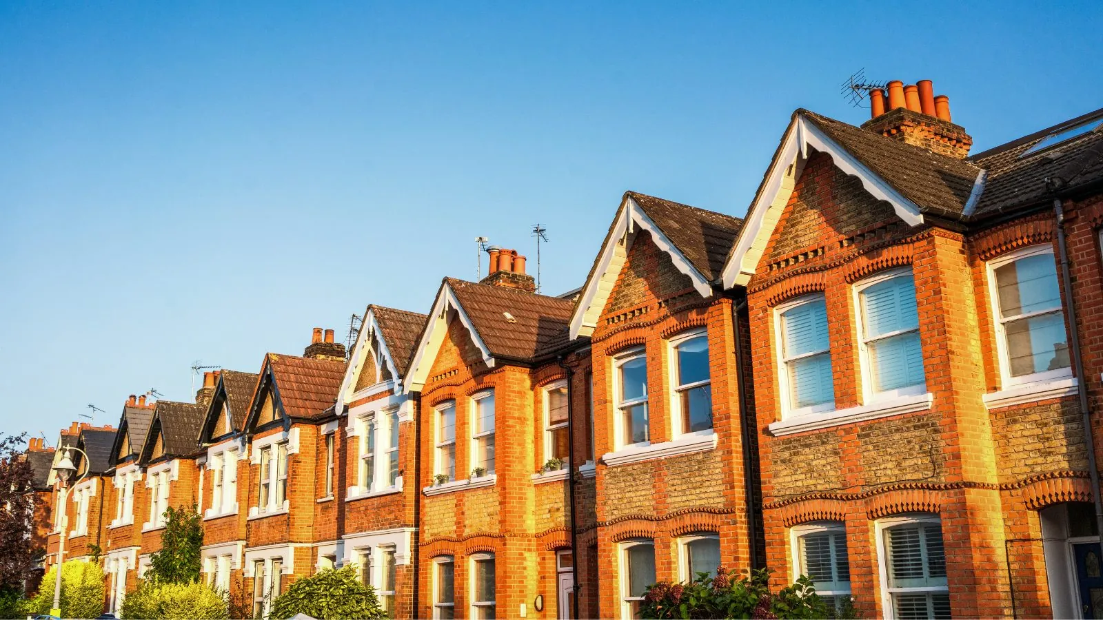 Picture of houses all together